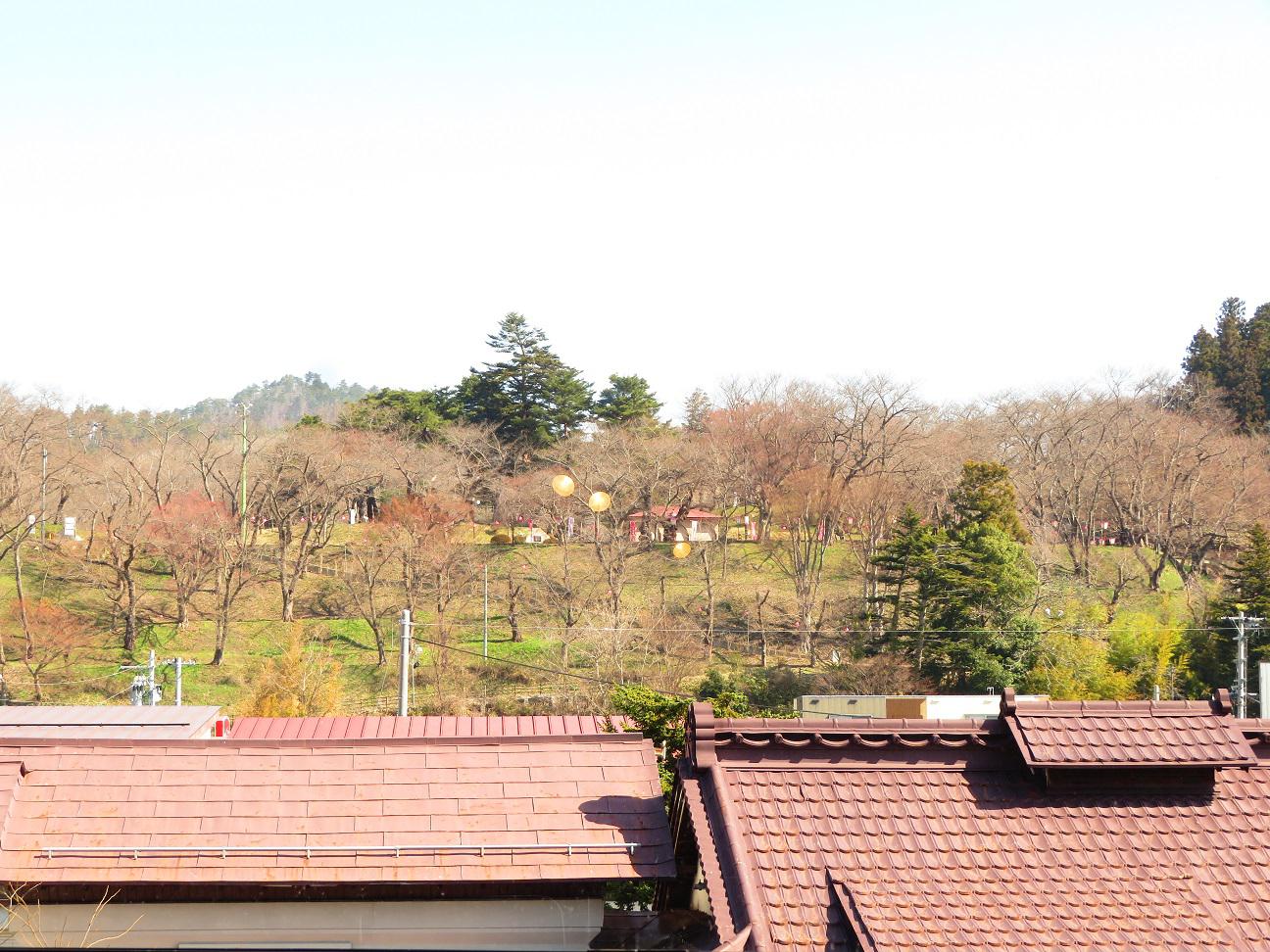 ４月９日朝９時、烏帽子山の桜の様子です