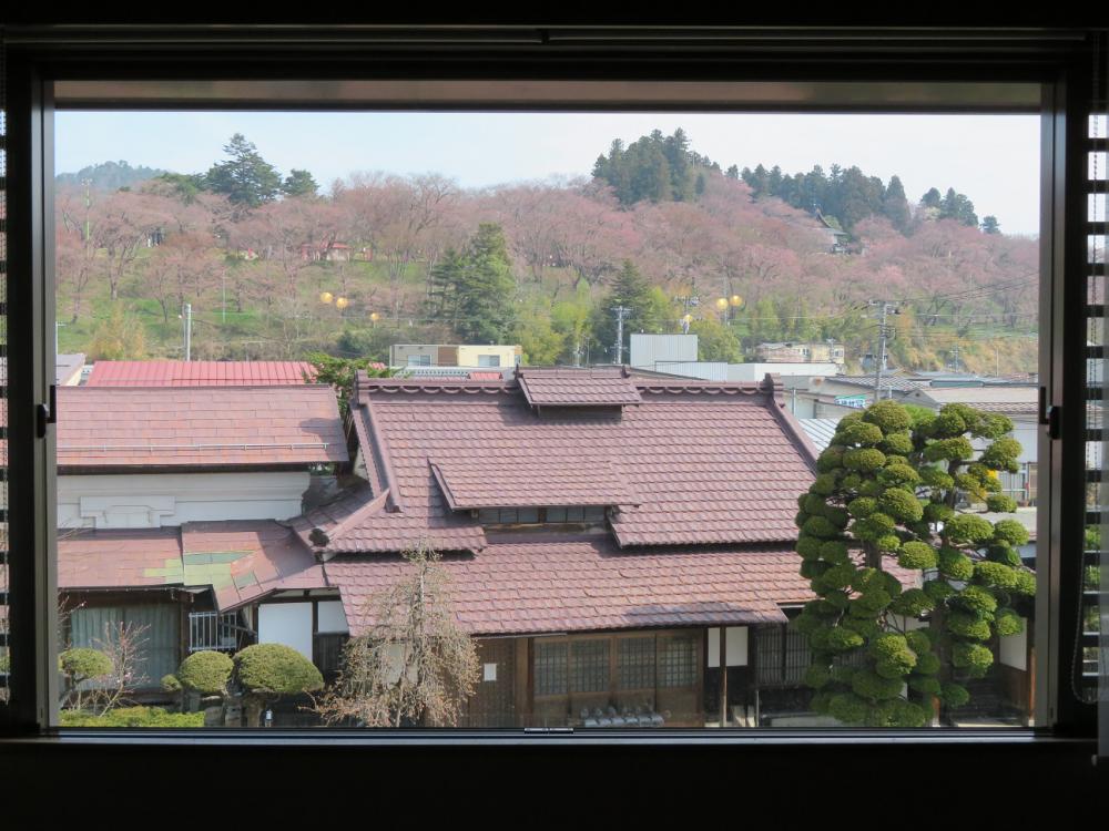 ４月１３日朝９時、烏帽子山の桜の様子です
