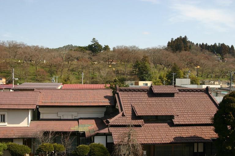 ４月５日朝９時、烏帽子山の桜の様子です