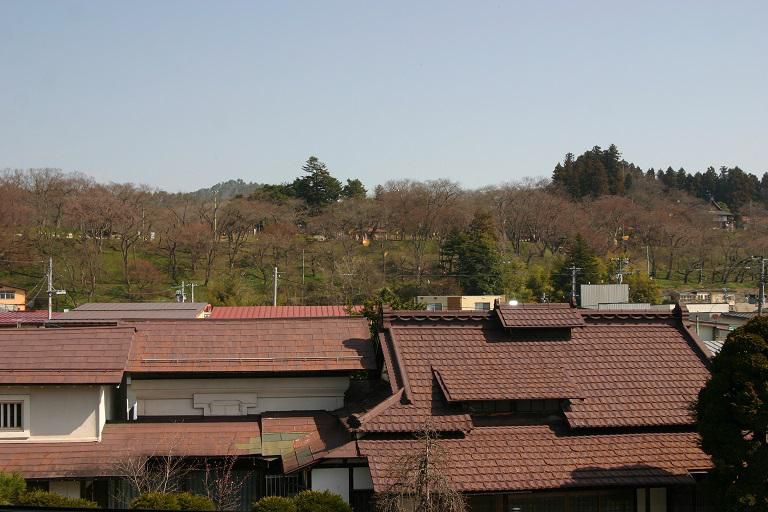 ４月６日朝９時、烏帽子山の桜の様子です