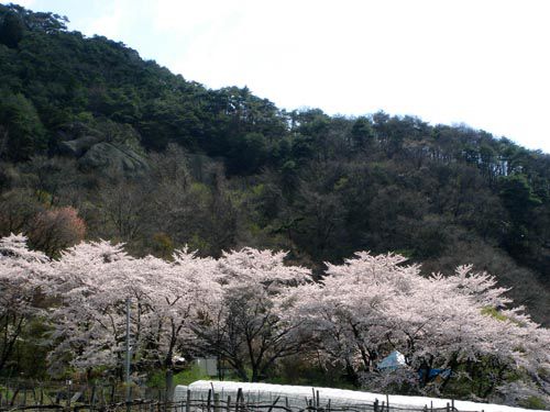 南陽市中川　～　岩部山①　～