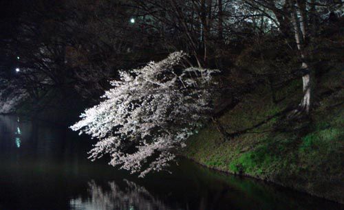 山形市　～　霞城公園②　～