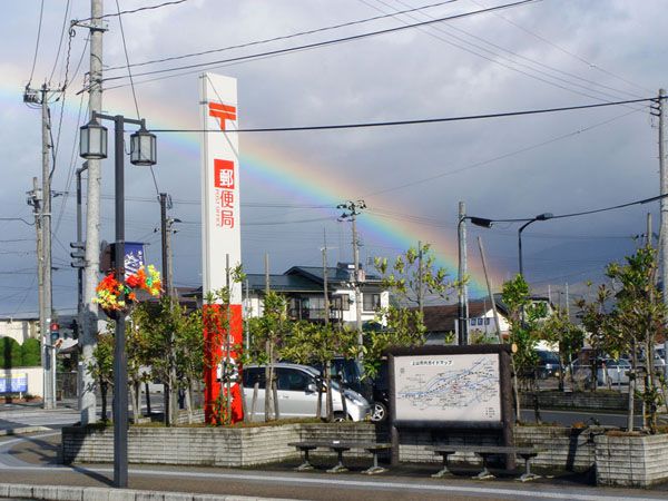 よく見かけるなぁ～～～今年