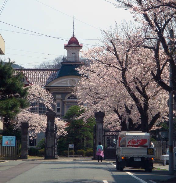 学び舎と桜