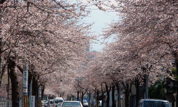 山形の車窓から・・・