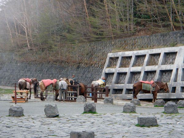 体力ない方の富士登山は・・・