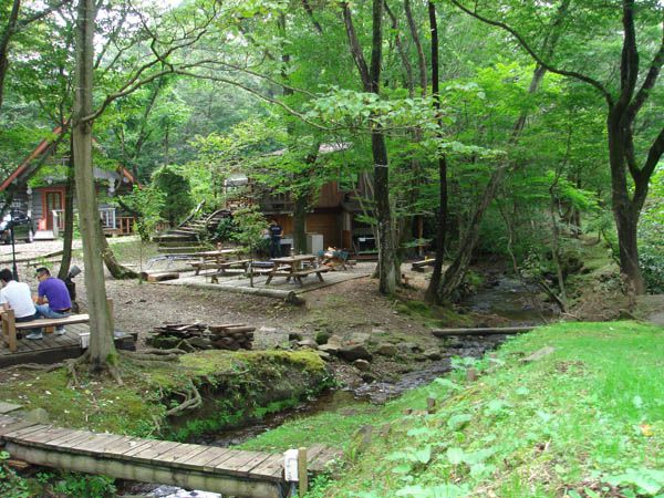 ネットにやられた・・・【那須高原　茶臼の森】