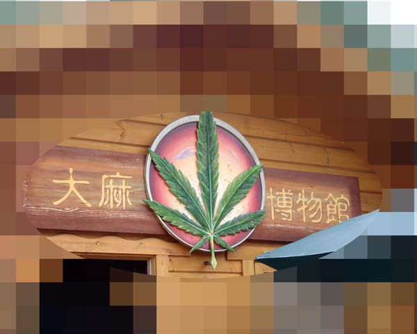 大麻なんて･･･や・やばいよ～　【場所はヒミツ】