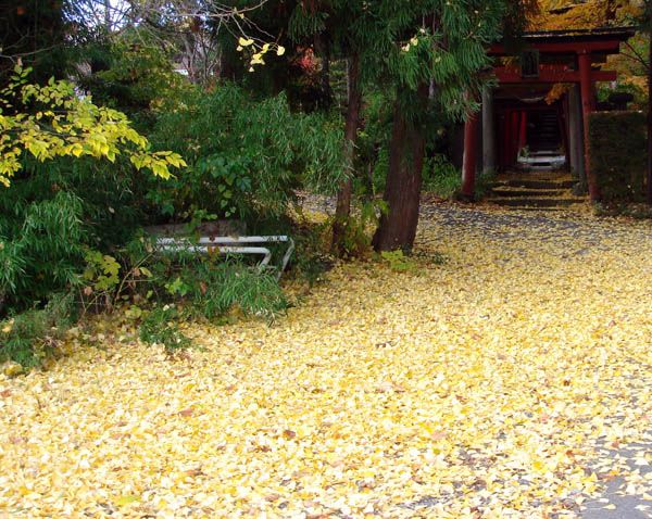 季節はずれも甚だしいのですが・・・【上山市　栗川稲荷神社】