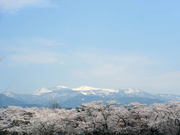 磨くのは技術・・・【上山市　茂吉記念館】