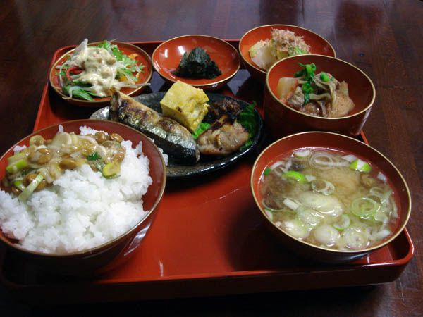 おふくろの味の定食屋【長井市　岩野屋】