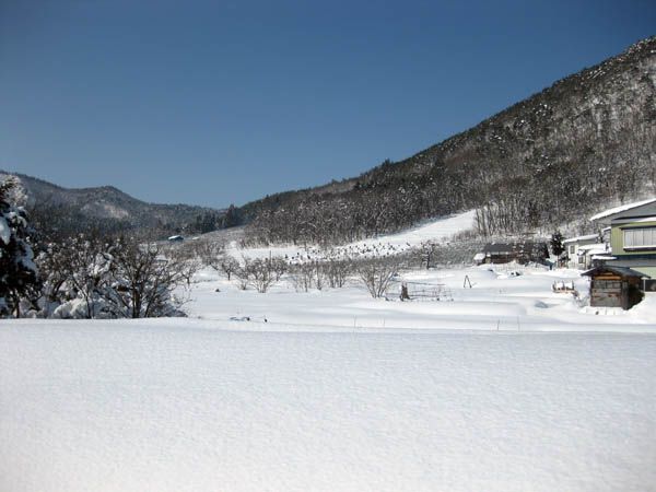 雪おろしのススメ①