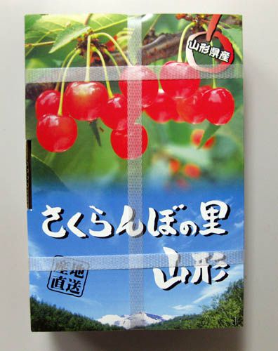 １年はあっという間