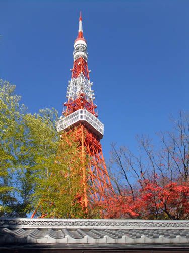 乗るはずの新幹線が運休・・・私は運が悪い！？