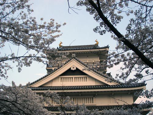 上山城の桜①