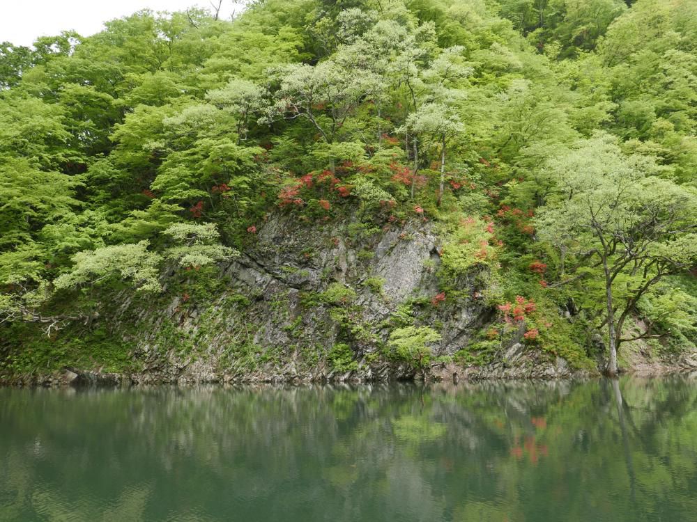 新緑とヤマツツジを見るなら今！三淵渓谷ボートツーリング