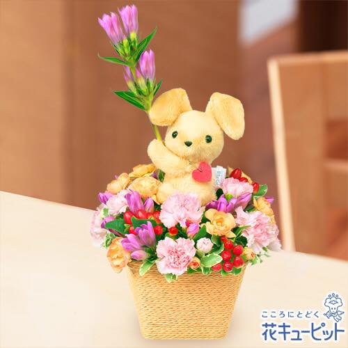 2017/09/14 14:03/9 ϷΥƥʲ£ϡ֥塼ԥåȤΤŹǡ(^O^)