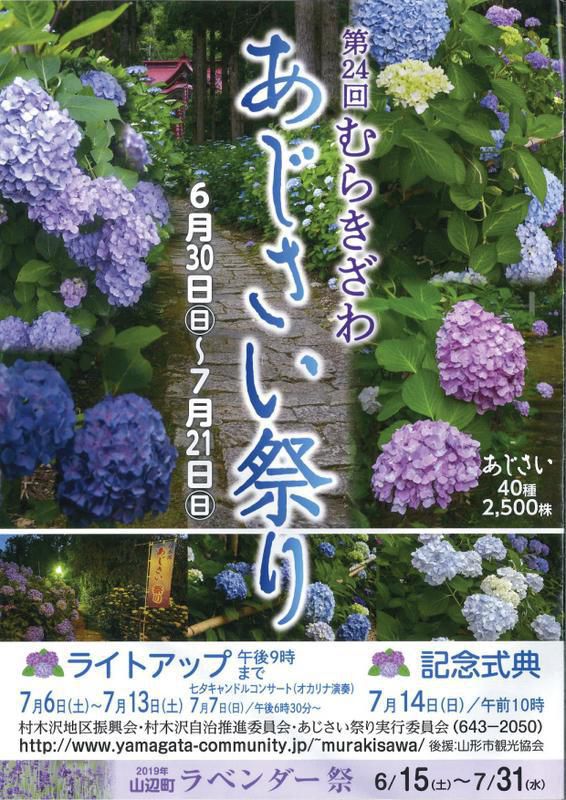 むらきざわ「あじさい祭り」、山辺町「ラベンダー祭」開催中