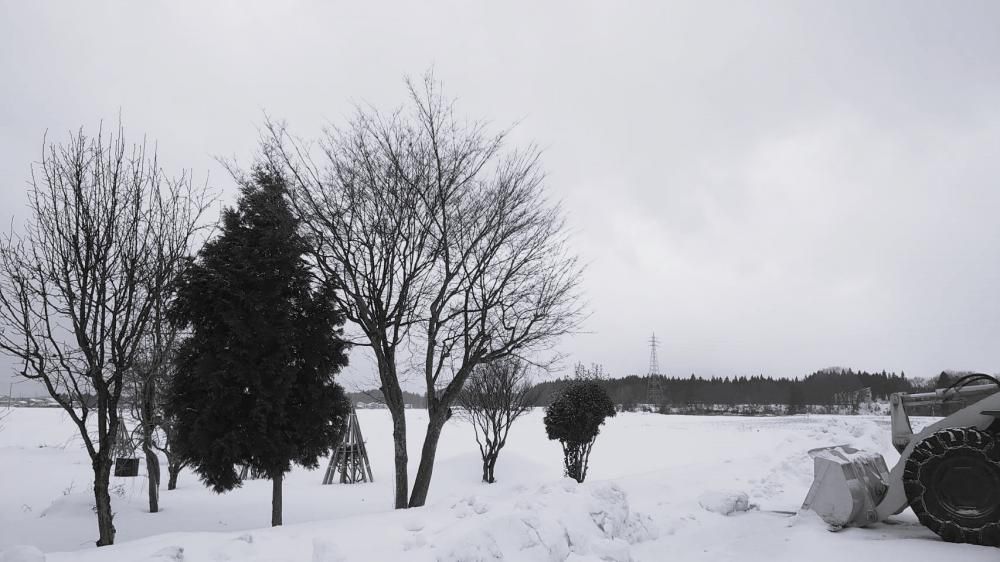 年末年始のお知らせ