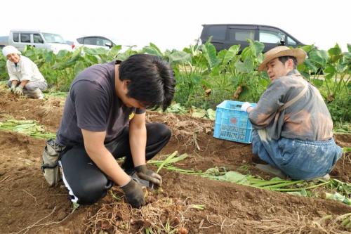 ながい1000人芋煮会