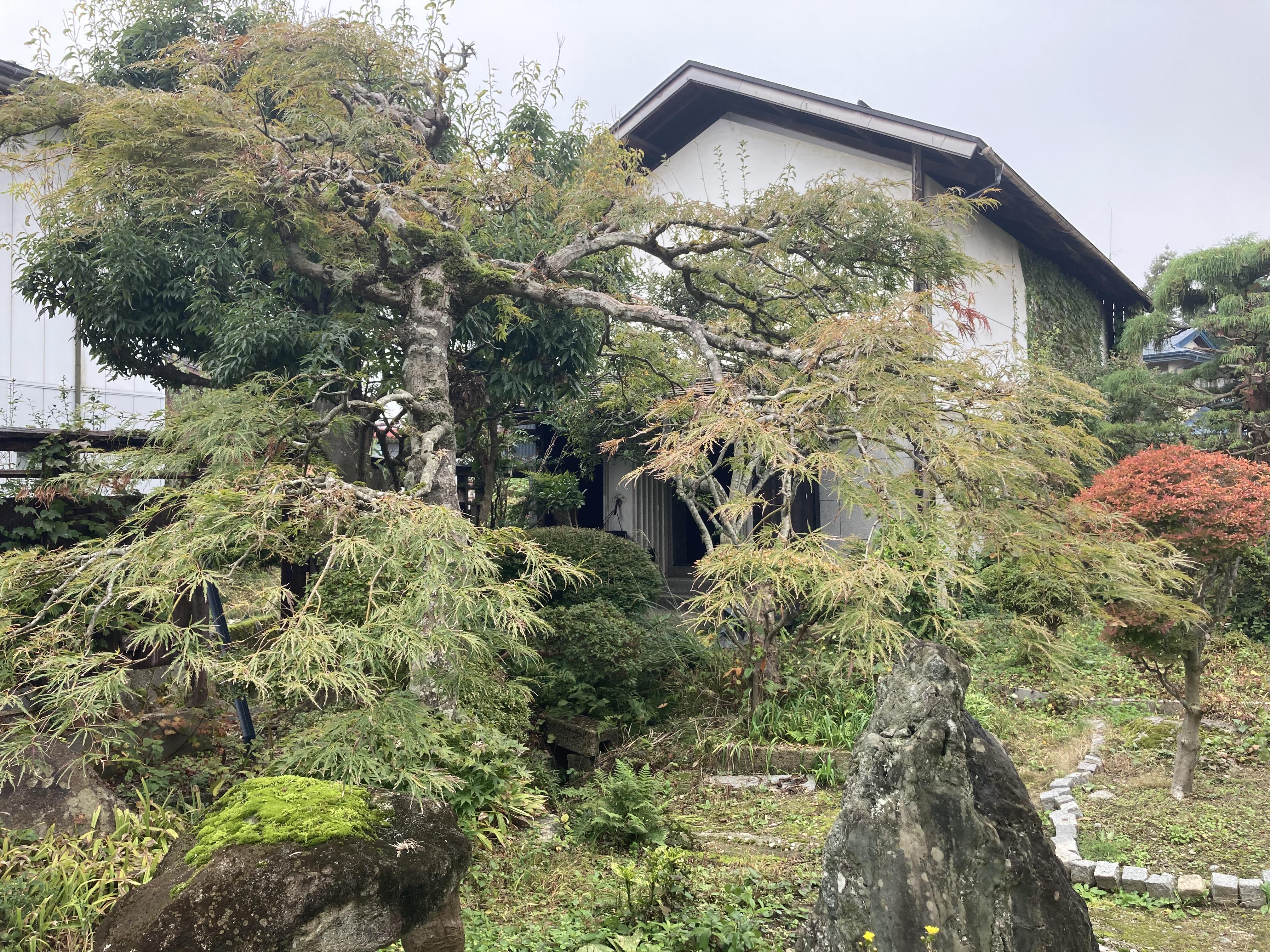 いちまた庭で振袖レンタル撮影もできます!