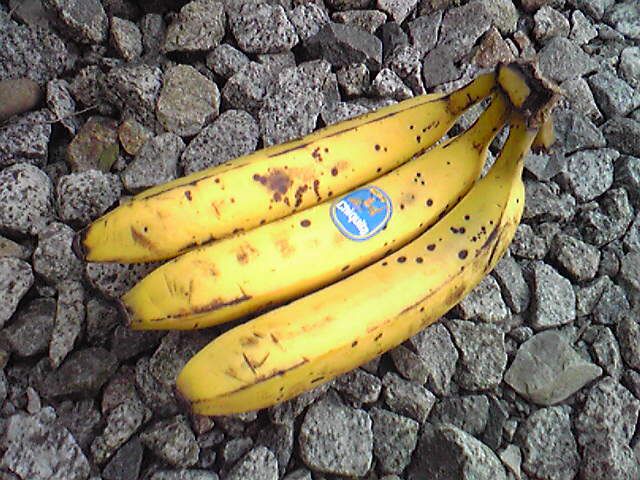 〈愛しのバナナ〉