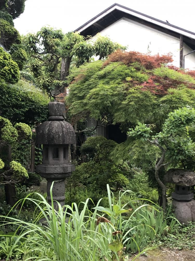 いちまた日本庭園で振袖撮影如何ですか！