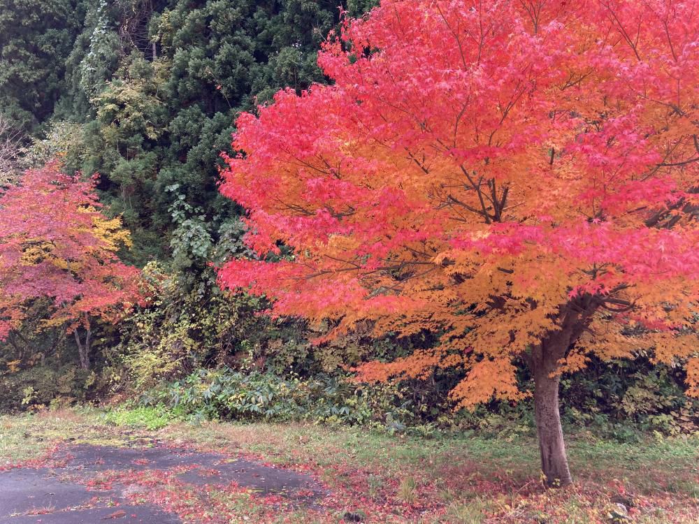 街中も、紅葉真っ只中の山形県
