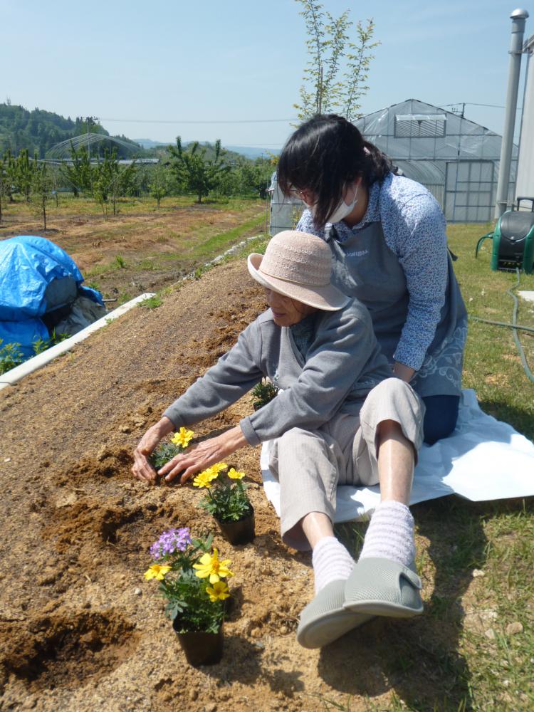 花苗をいただいたので皆さんで植えました！