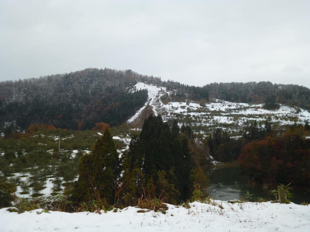 とうとう雪が降りました。