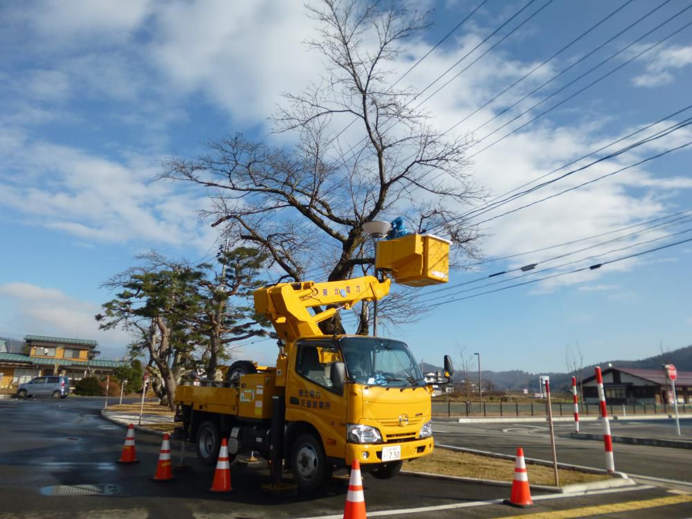 東北電力ボランティア清掃