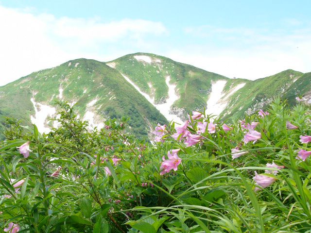 いよいよ朝日連峰夏山開きです