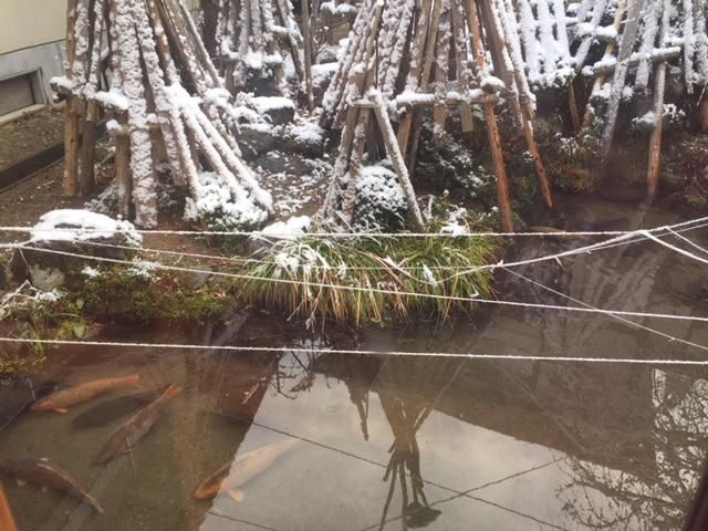 雪 ふりました