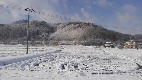 降っても融ける雪