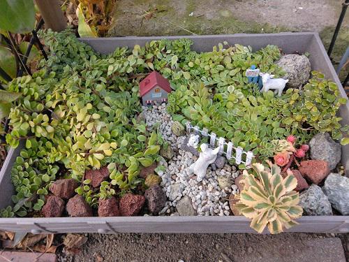 《バラ庭》ガーデンNOW~今季一番の寒さ・・・!