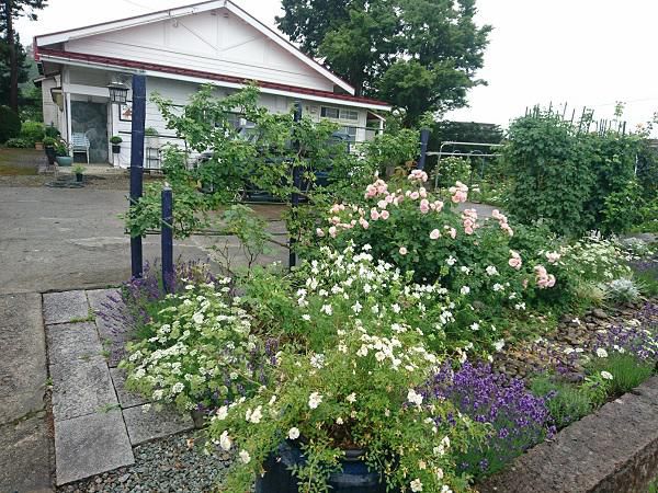 《バラ庭》つれづれ～・・昨日は、米沢のお庭へ。。。