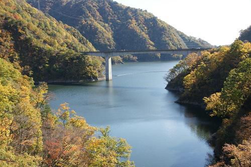 《バラ庭》つれづれ～・・きょうは、長井ダムへ。。。