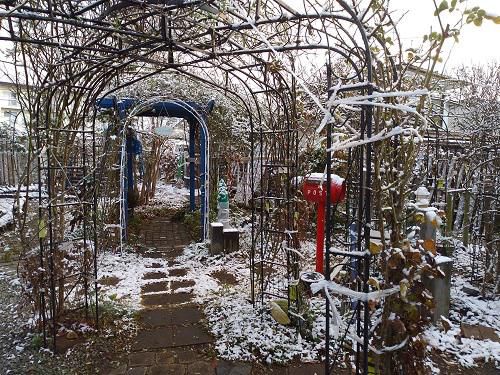 《バラ庭》ガーデンNOW～・・初めての雪景色！！