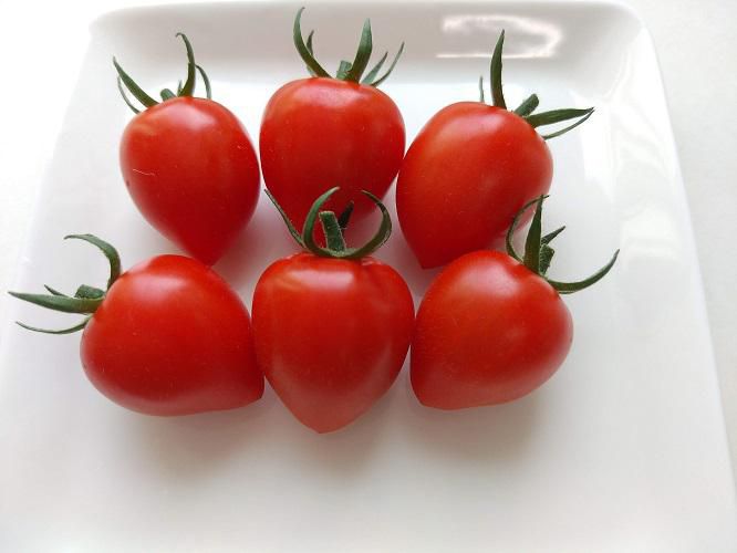 《バラ庭》ガーデンNOW～・・トマトの初収穫！