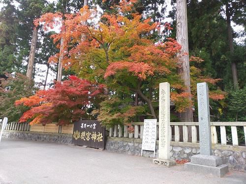 《バラ庭》つれづれ～・・長井一の宮、總宮神社の紅葉。。。！