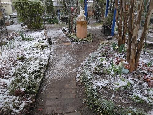 《バラ庭》ガーデンNOW～やっぱり雪でした・・・