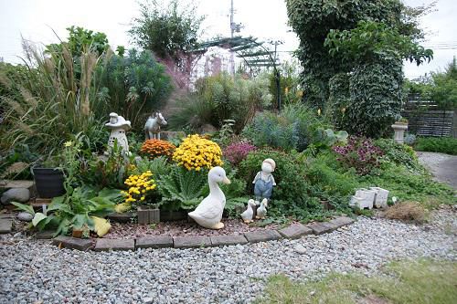 《バラ庭》じーじの写真館・・秋の庭も見納め～