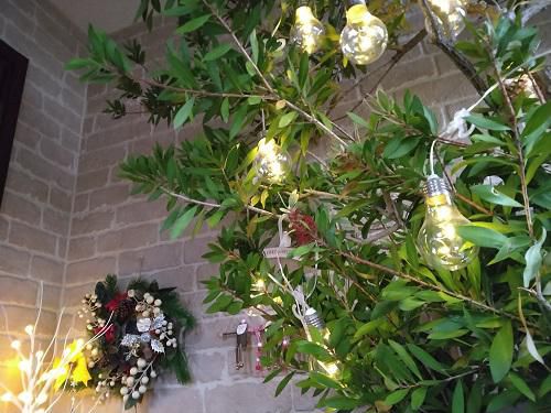 《バラ庭》つれづれ～・・我が家のクリスマス、ライトで・・・