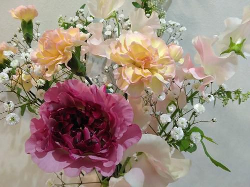 《バラ庭》つれづれ～・・きのうは『立春』！ブログもぼちぼちと・・・