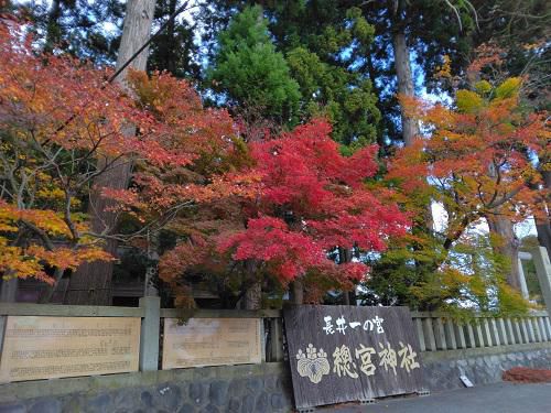 《バラ庭》つれづれ～・・長井一の宮、總宮神社の紅葉を今年も～