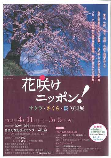 サクラ・さくら・桜　写真展開催。