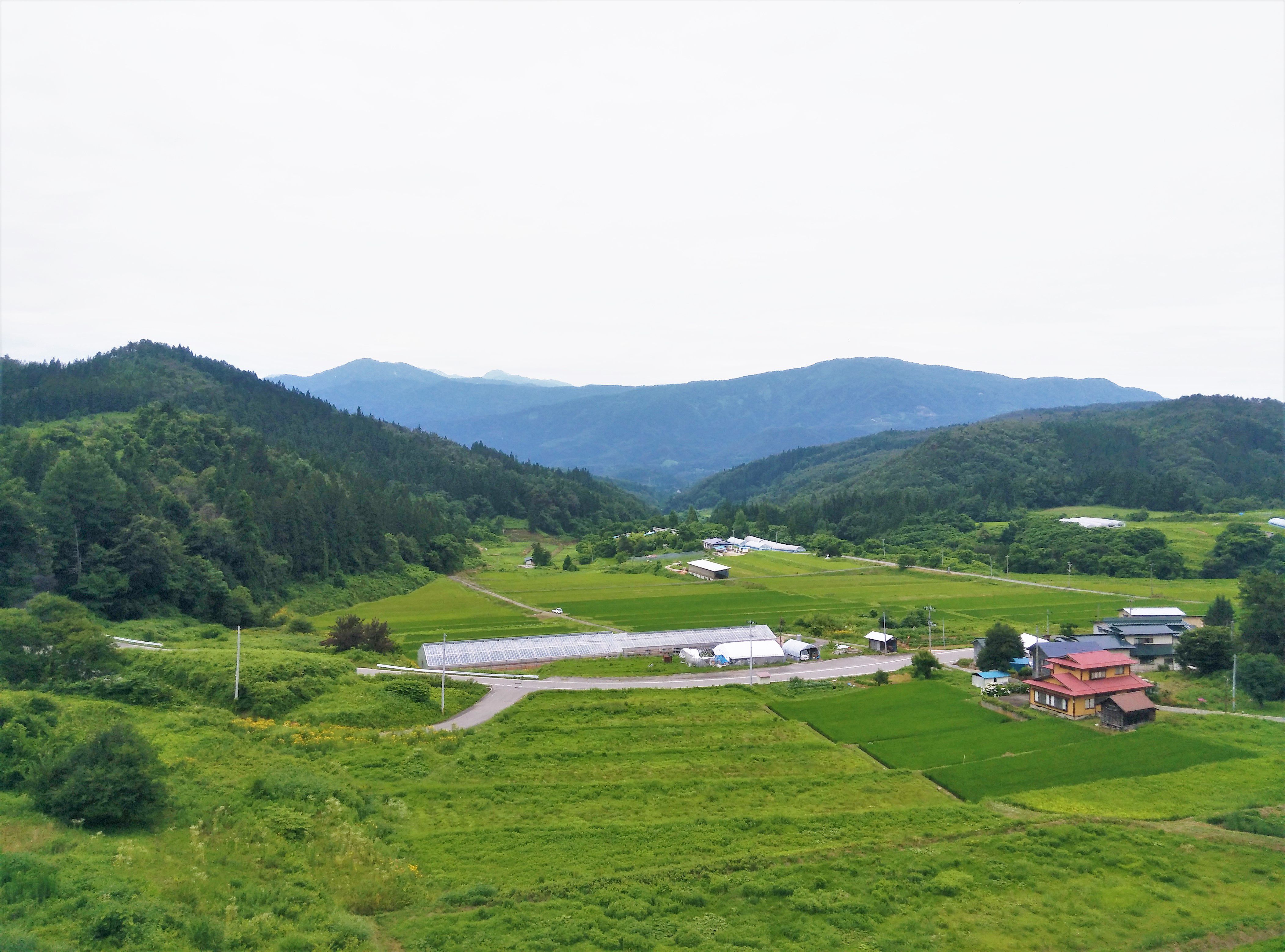 夏と冬