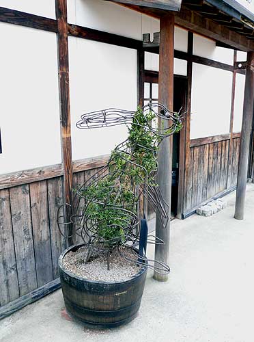 �֥������Υȥԥ��꡼�����ܤ���ޤ������פβ���