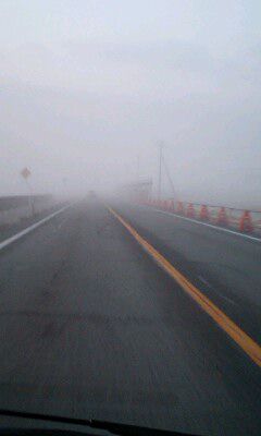 今朝は霧