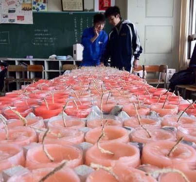 神戸1.17のつどい用のロウソク製造